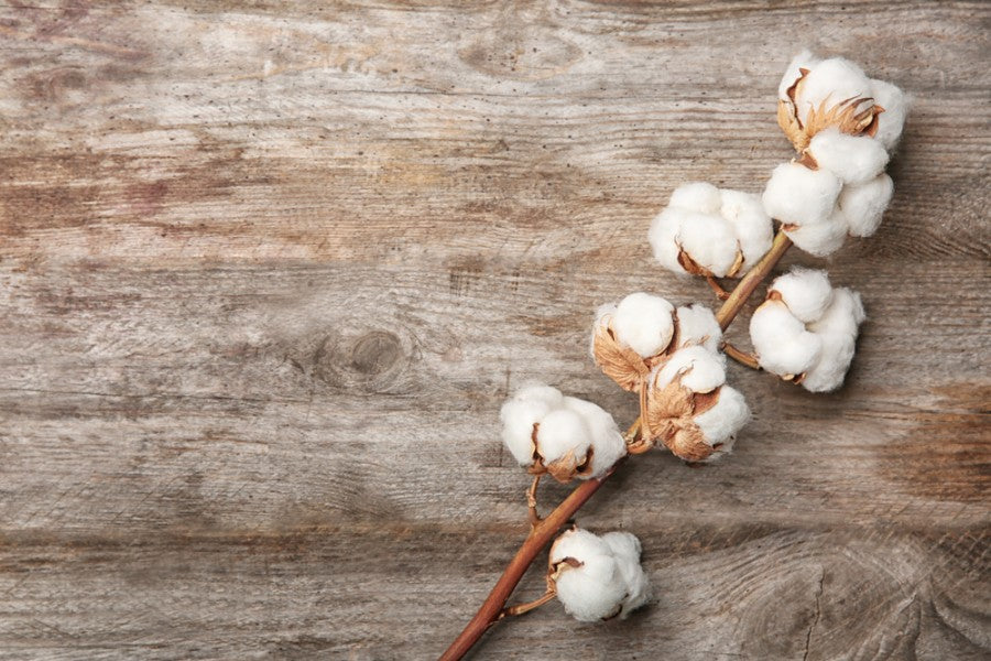 Fleurs de coton | biodégradable et hypoallergénique | Acétate de cellulose | Roxy Paris | roxy-paris.com